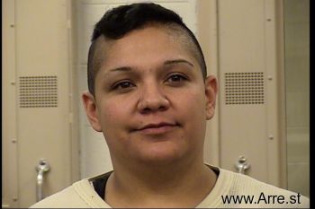 Donna  Chavez Mugshot